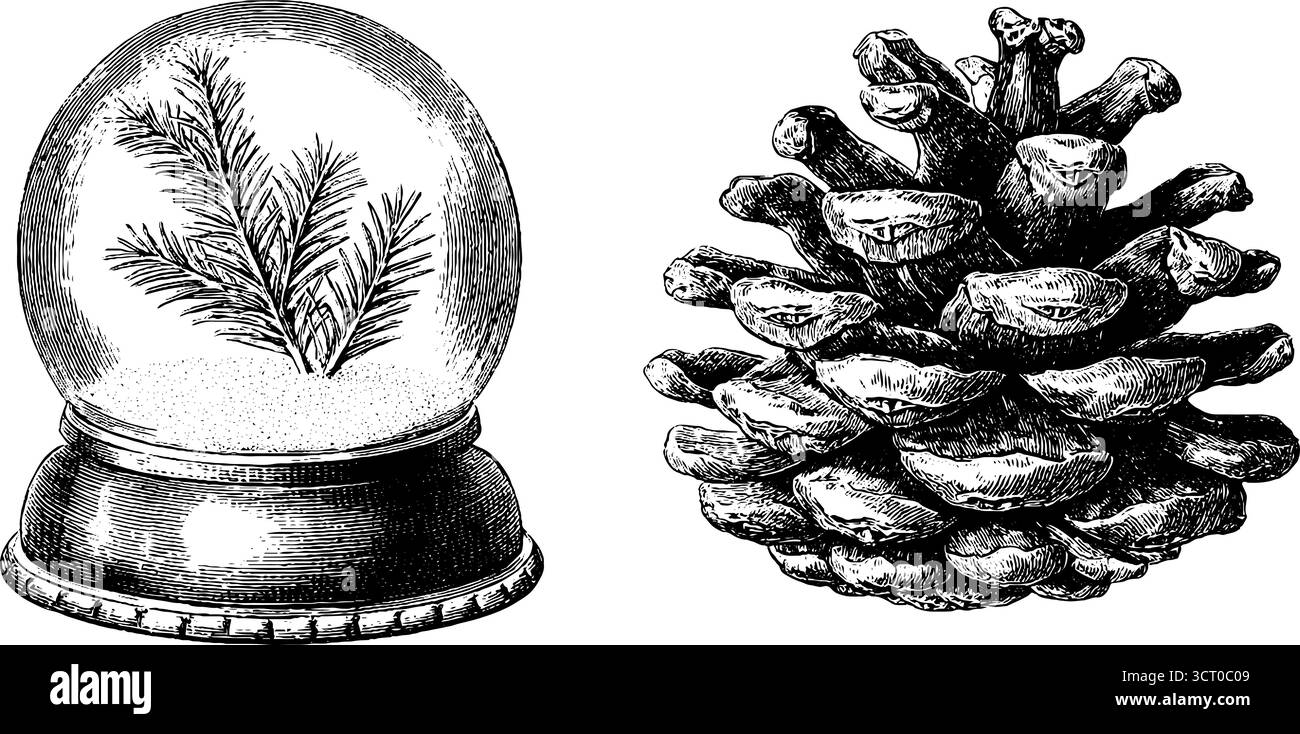 Incisione vintage disegnata a mano del globo della neve e della collezione di coni di abete per le vacanze. Illustrazione Vettoriale
