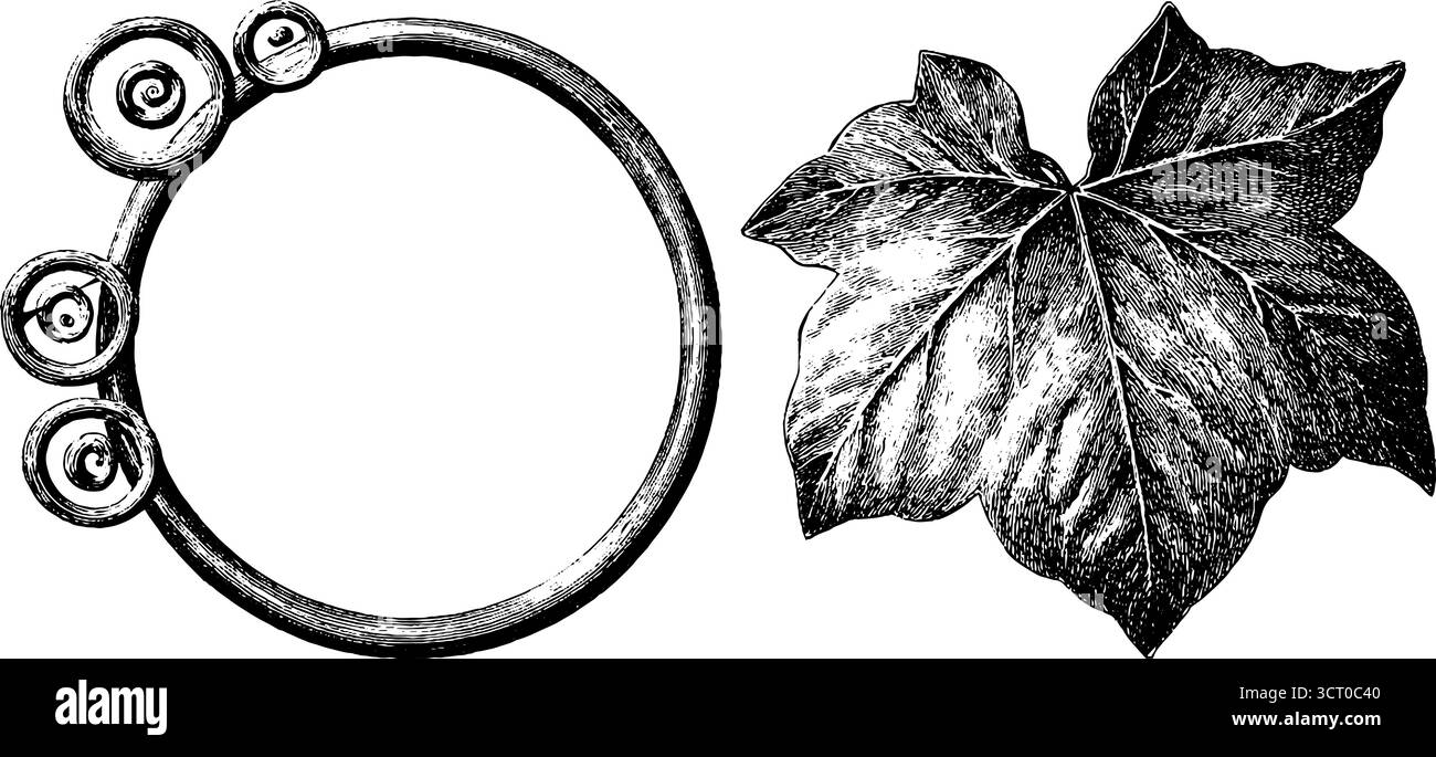 Set vintage con decorazioni a spirale e incisioni a foglia per un design retrò. Illustrazione Vettoriale