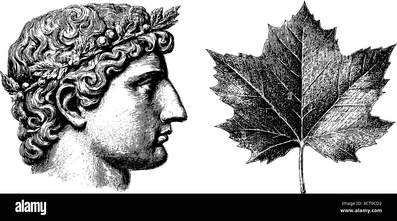 Profilo inciso della statua classica e dettagliata illustrazione a foglia per il design e l'arredamento. Illustrazione Vettoriale