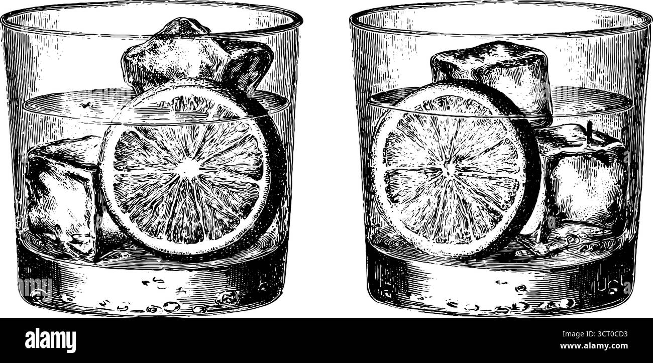 Set illustrativo vintage con incisioni in vetro spritz con fette di arancio e cubetti di ghiaccio. Illustrazione Vettoriale
