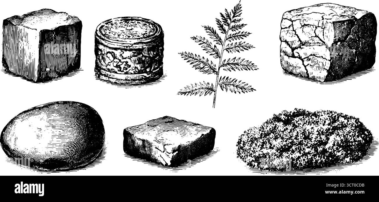 Set illustrativo inciso con diverse texture in pietra ed elementi naturali per un design retrò. Illustrazione Vettoriale