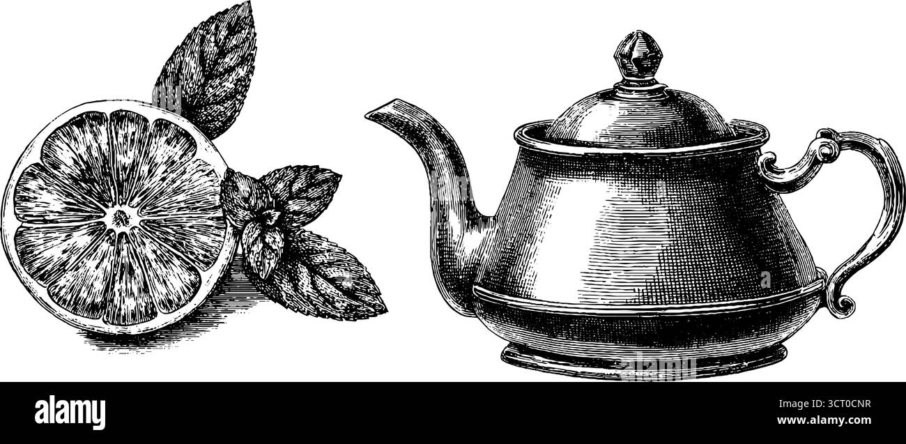 Set illustrativo vintage con incisioni di teiera e fetta di limone per un design culinario. Illustrazione Vettoriale