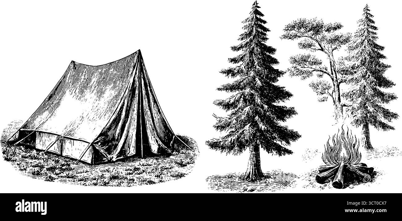 Set illustrativo vintage con incisioni, con tenda e pini per un design avventuroso all'aperto. Illustrazione Vettoriale