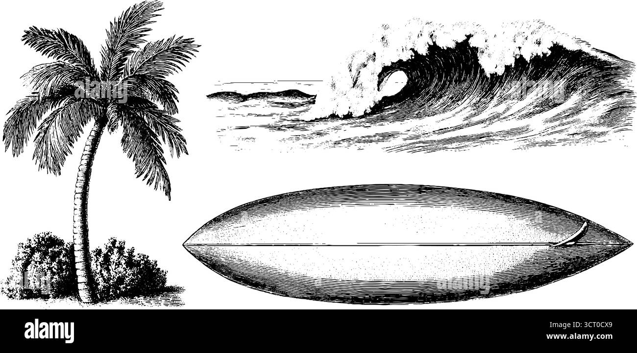 Set illustrativo vintage con tavole da surf e onde oceaniche incise per un design da spiaggia retrò. Illustrazione Vettoriale