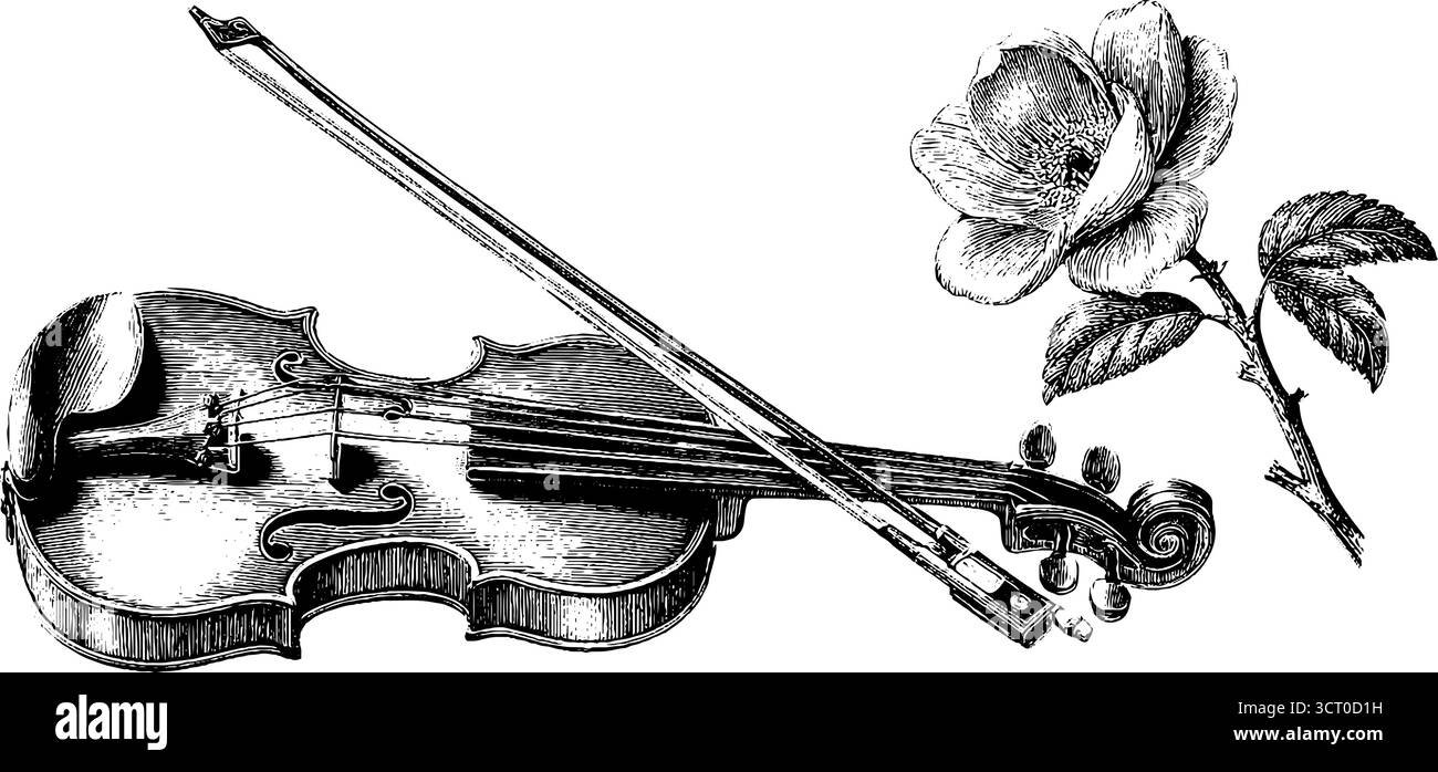 Set di illustrazioni per violino vintage e rose incise per motivi musicali e floreali. Illustrazione Vettoriale