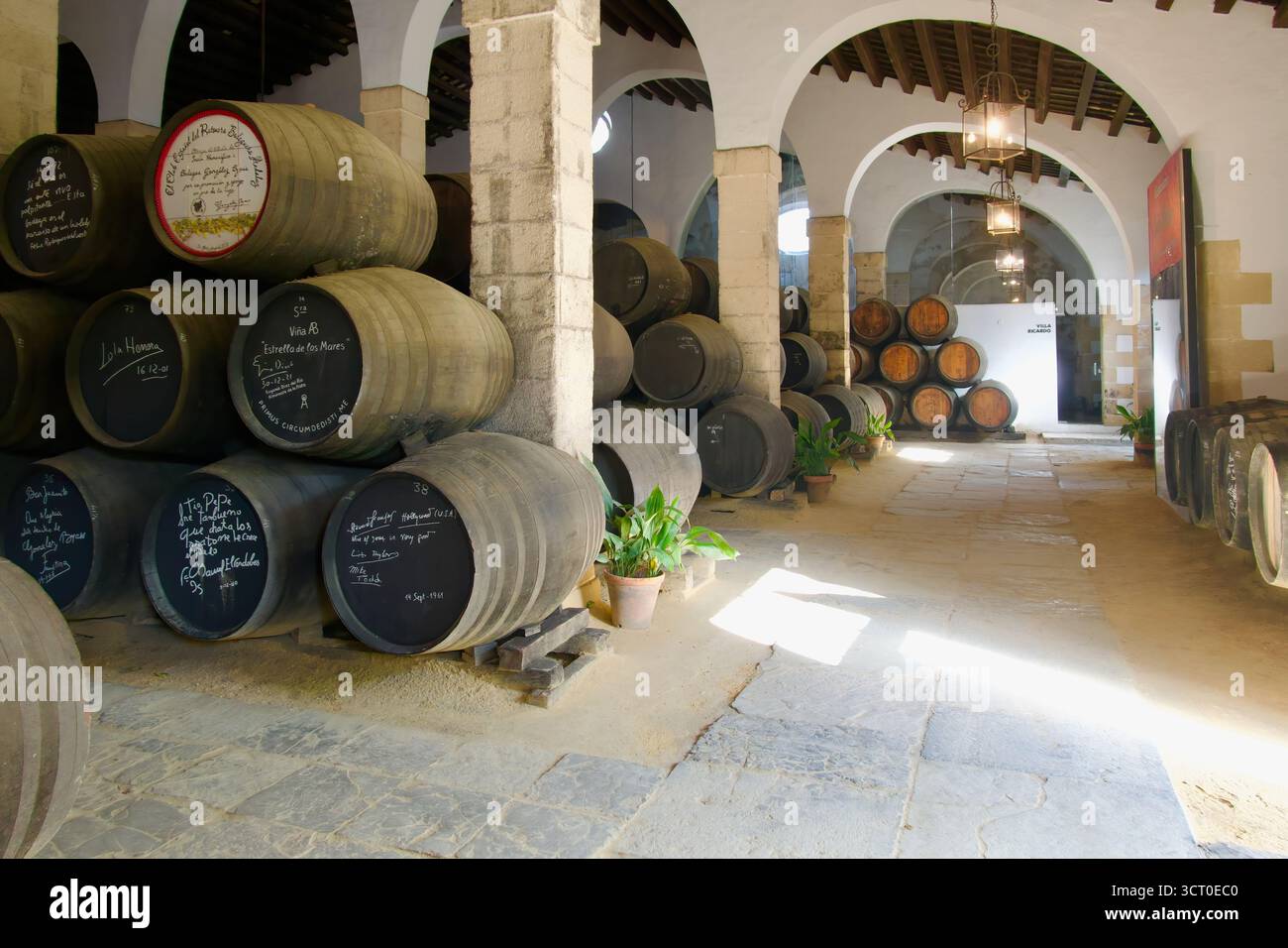 File impilate di botti di sherry fino firmate da personaggi famosi Gonzalez Byass bodegas Jerez de la Frontera Cádiz Andalusia Spagna Europa Foto Stock