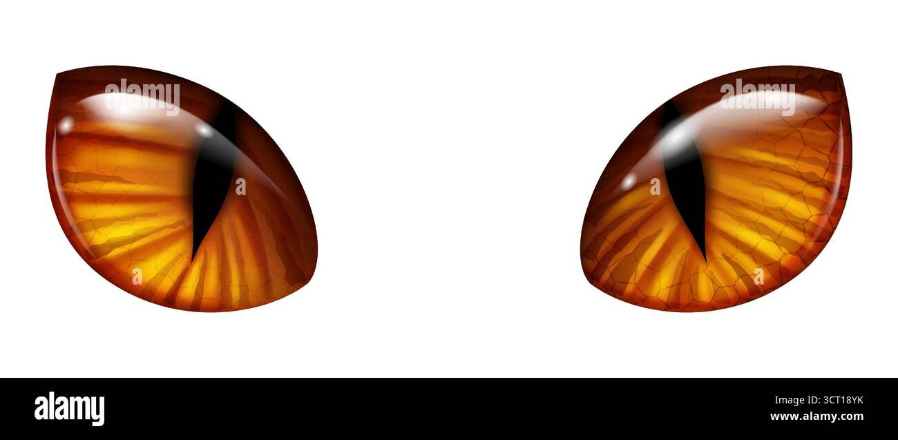 Un paio di occhi felini stilizzati con pupille a fessura verticale, in ricche tonalità ambra e oro su sfondo bianco. Gli Iris mostrano trame complesse, W Illustrazione Vettoriale
