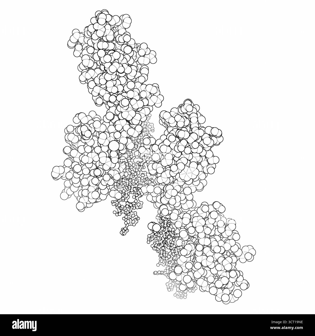 Illustrazione della struttura radiologica di OSCAR legata a un peptide di collagene, evidenziando il dominio D2 come sito di legame primario. La struttura rivela un modello di interazione a due fasi che spiega come OSCAR riconosce e coinvolge il collagene. Foto Stock