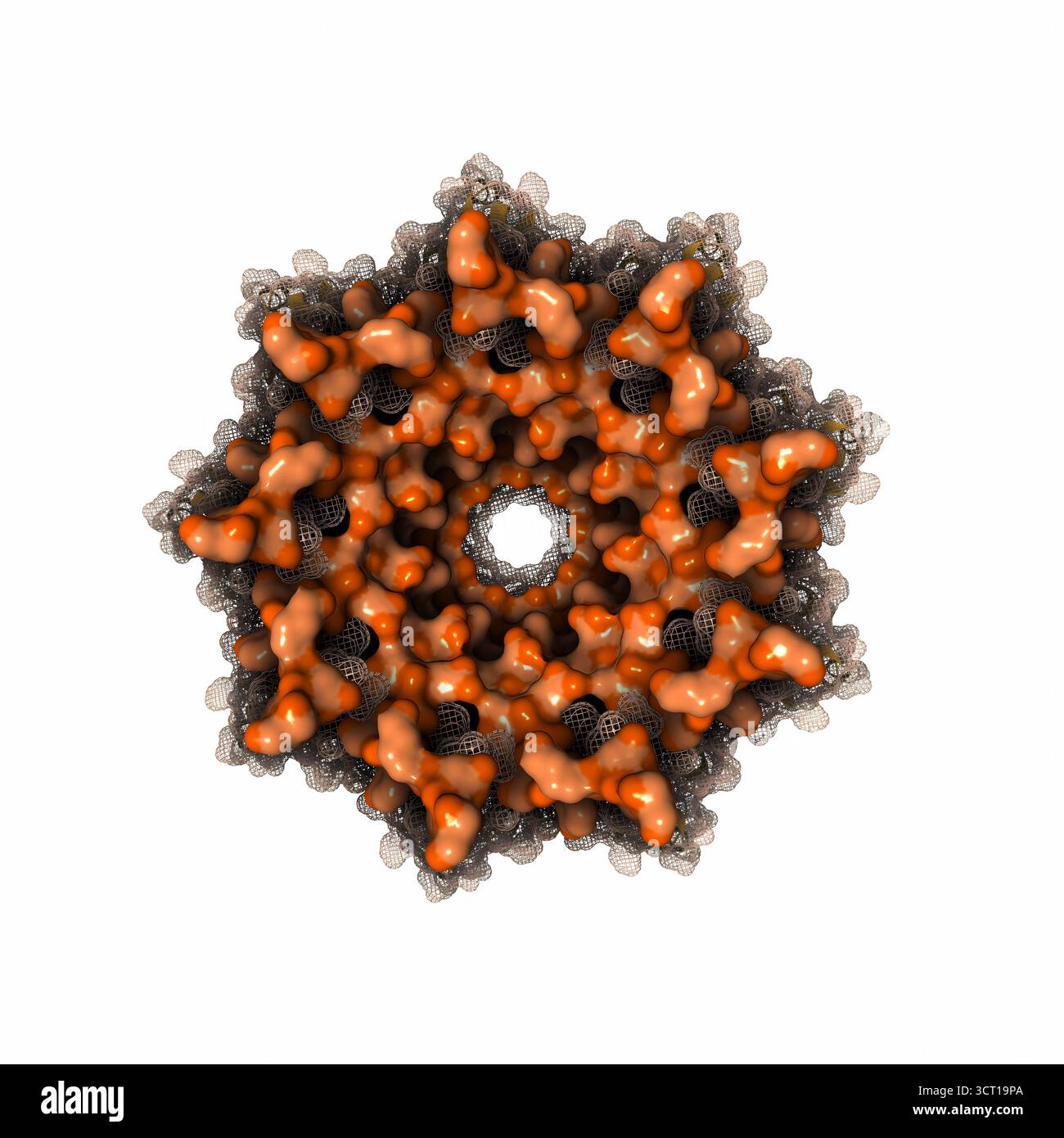 Illustrazione della struttura della micrografia crioelettronica (EM) del complesso CsgFG legato al peptide CsgAN6, evidenziando le interazioni che guidano l'assemblaggio delle fibre di curli. La struttura fornisce informazioni sui meccanismi molecolari alla base della formazione di biofilm batterico. Foto Stock
