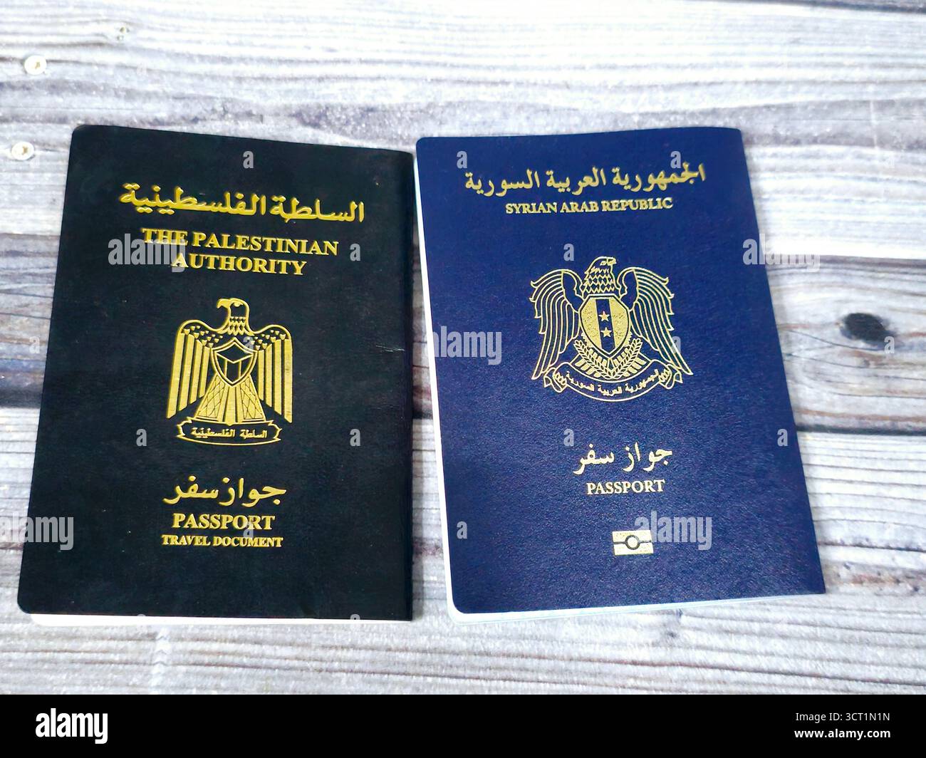 Passaporto della Repubblica araba siriana, passaporto della Siria è un documento di viaggio e il documento di viaggio passaporto dell'autorità palestinese, per i resi palestinesi Foto Stock