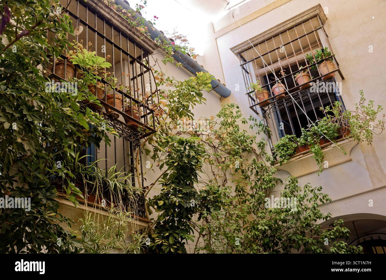Cortile a Cordoba, Spagna Foto Stock
