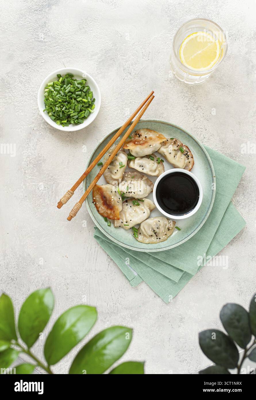 Gyoza gnocchi giapponesi, fritti, con salsa, cipolla verde e semi di sesamo, colore naturale, sfondo chiaro Foto Stock