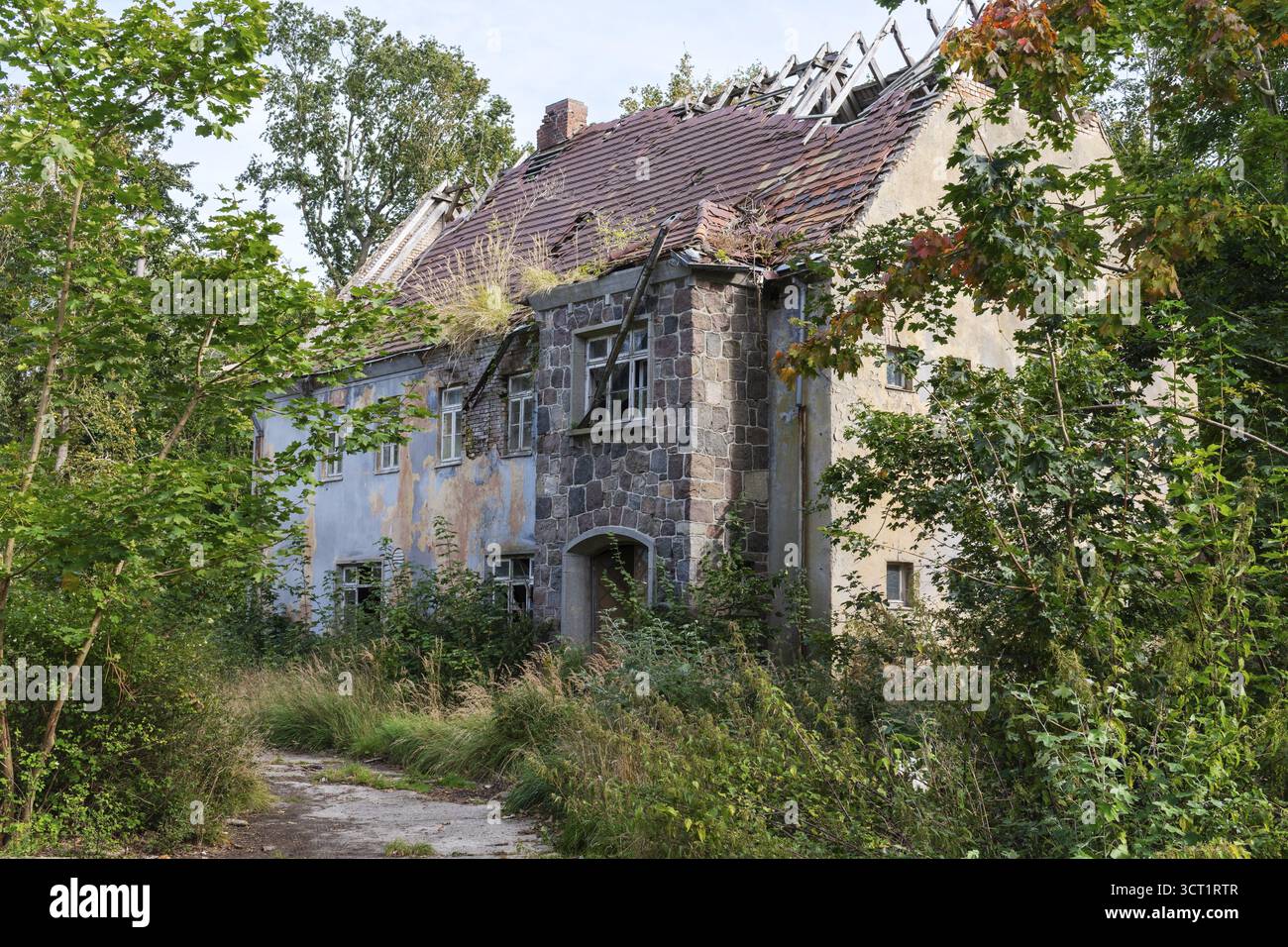 Sito militare abbandonato penisola di Wustrow Mar Baltico Germania Foto Stock