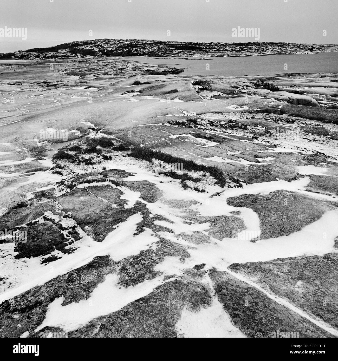 Paesaggio roccioso nella riserva naturale Ramvikslandet, bianco e nero, analogico, Bohuslaen, Vaestra Goetaland, Svezia Foto Stock