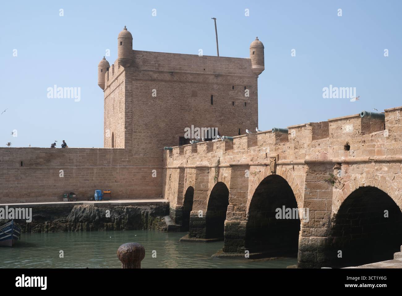 I bastioni o le mura della fortezza Essaouira Marocco Foto Stock