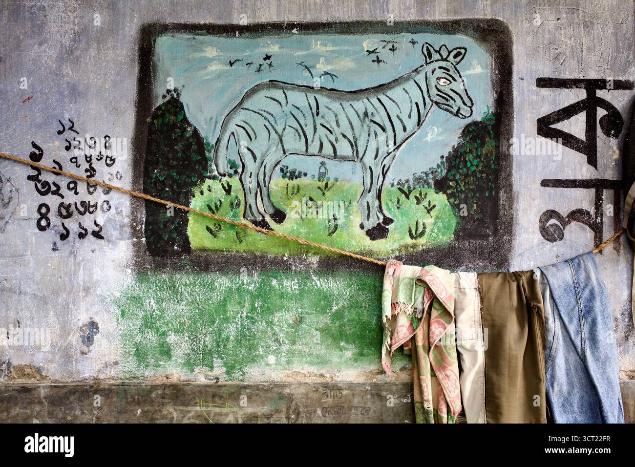 Pittura murale di una zebra all'interno di un edificio abbandonato ora utilizzato come fienile a Kushtia, Bangladesh, che mescola il decadimento e le tracce della vita precedente. Foto Stock