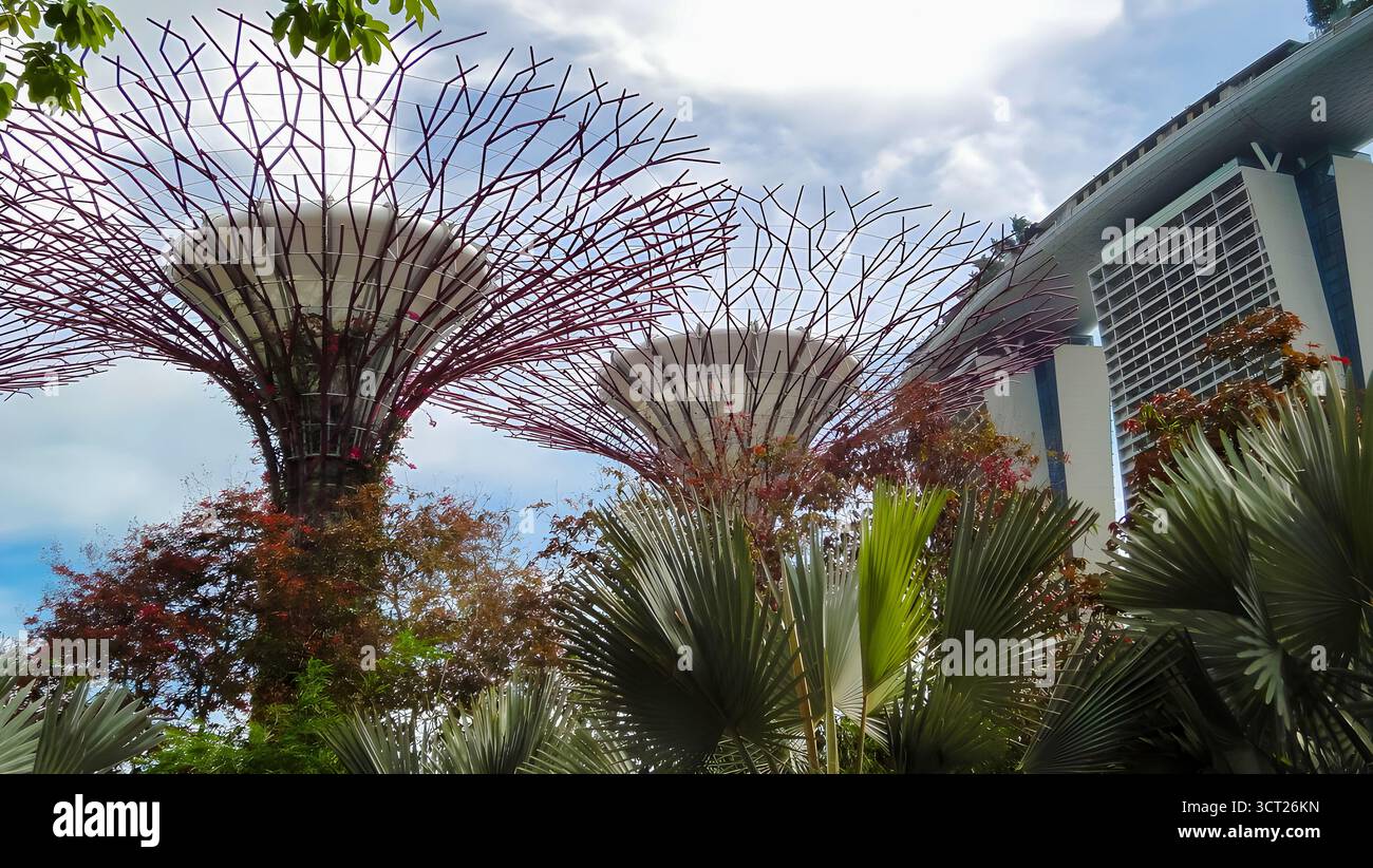 Giardini verticali di Supertree Grove con Marina Bay Sands sullo sfondo a Gardens by the Bay, Singapore. Foto Stock