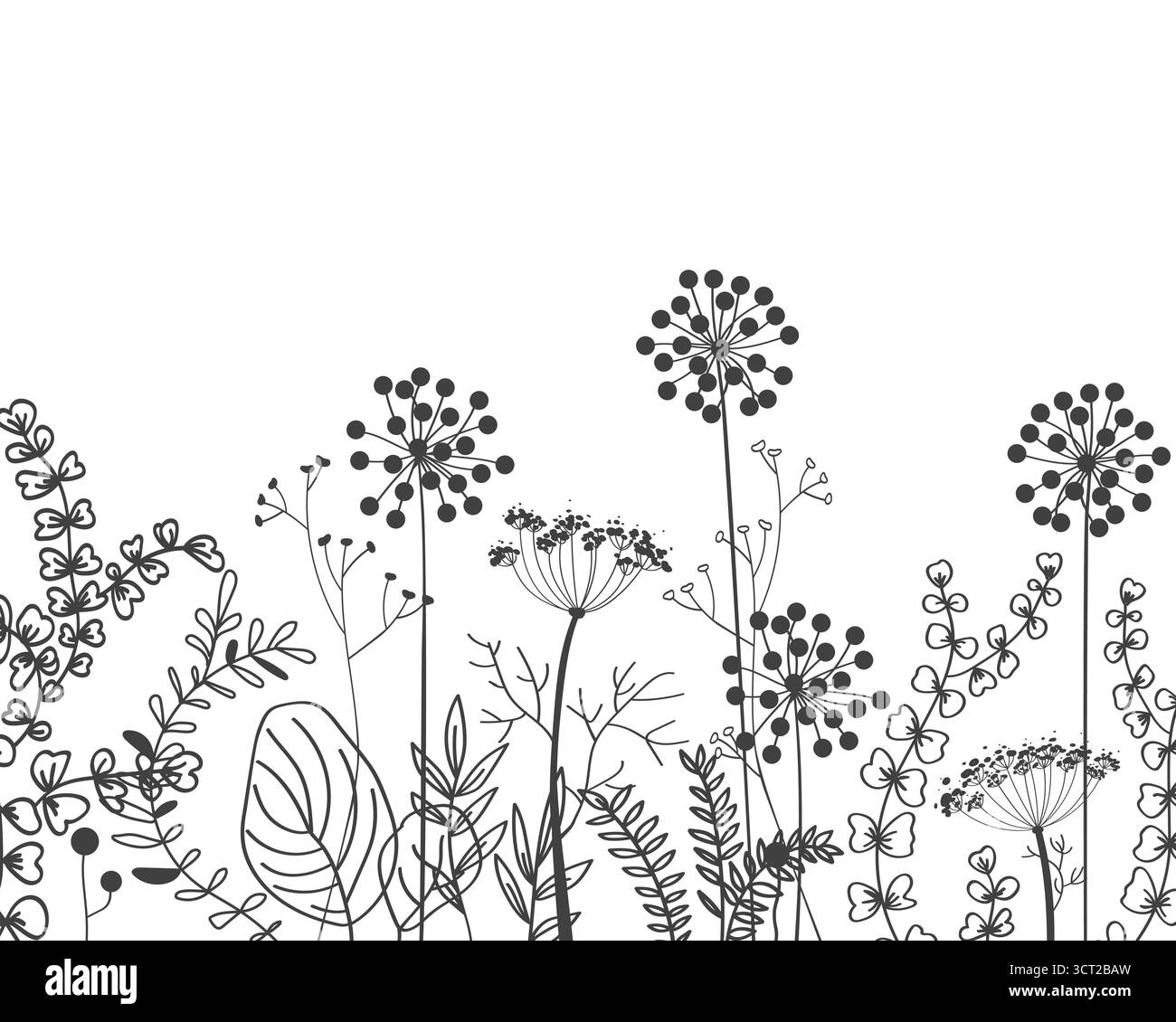 Confine autunnale con la foresta di doodle e le piante di prato. Sfondo floreale disegnato a mano per cornici, poster, cartoline per bambini, sfondi. Illustrazione vettoriale Illustrazione Vettoriale