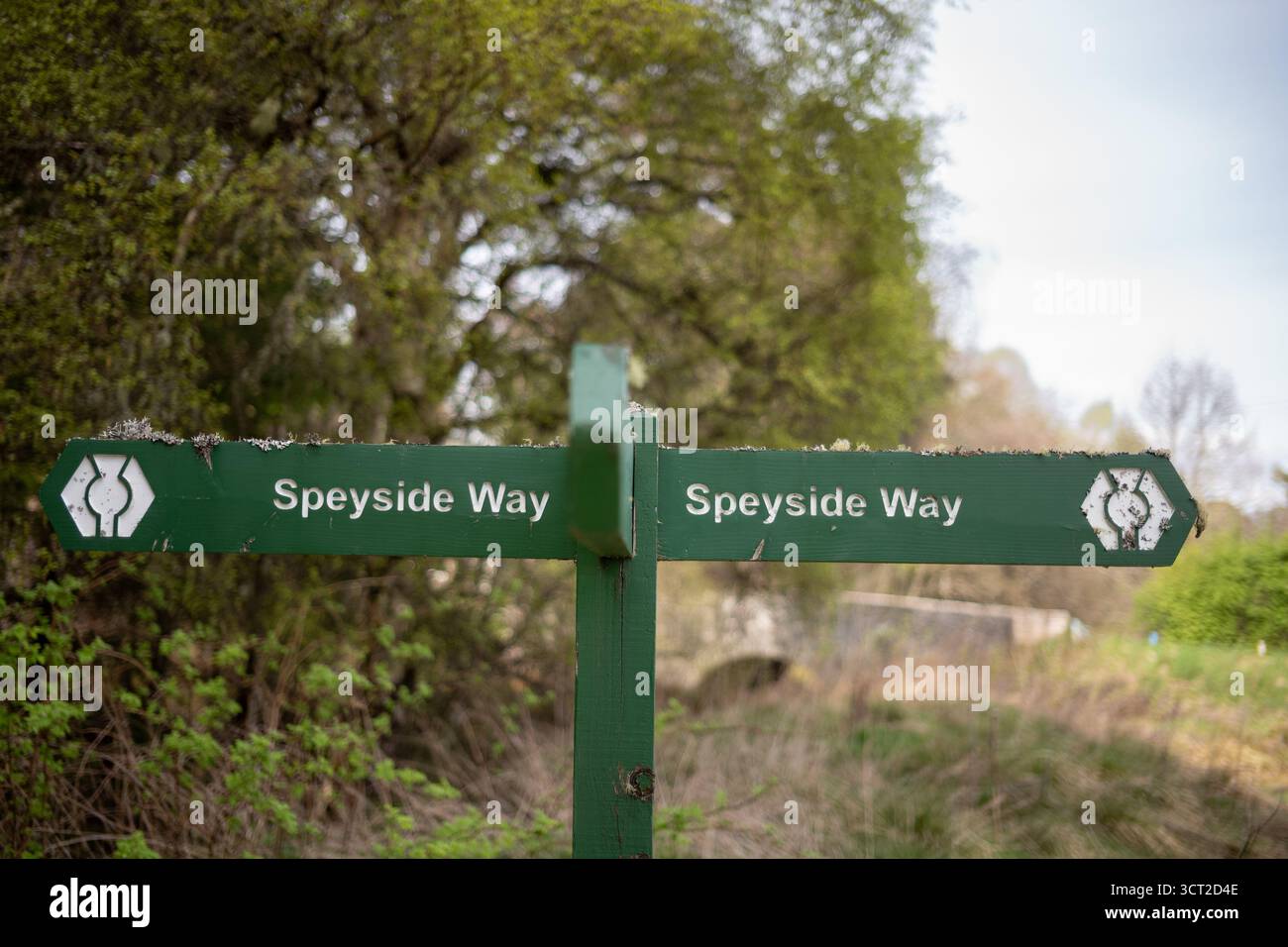 Cartello Speyside Way vicino al Nethy Bridge Cairngorms National Park Scotland Foto Stock