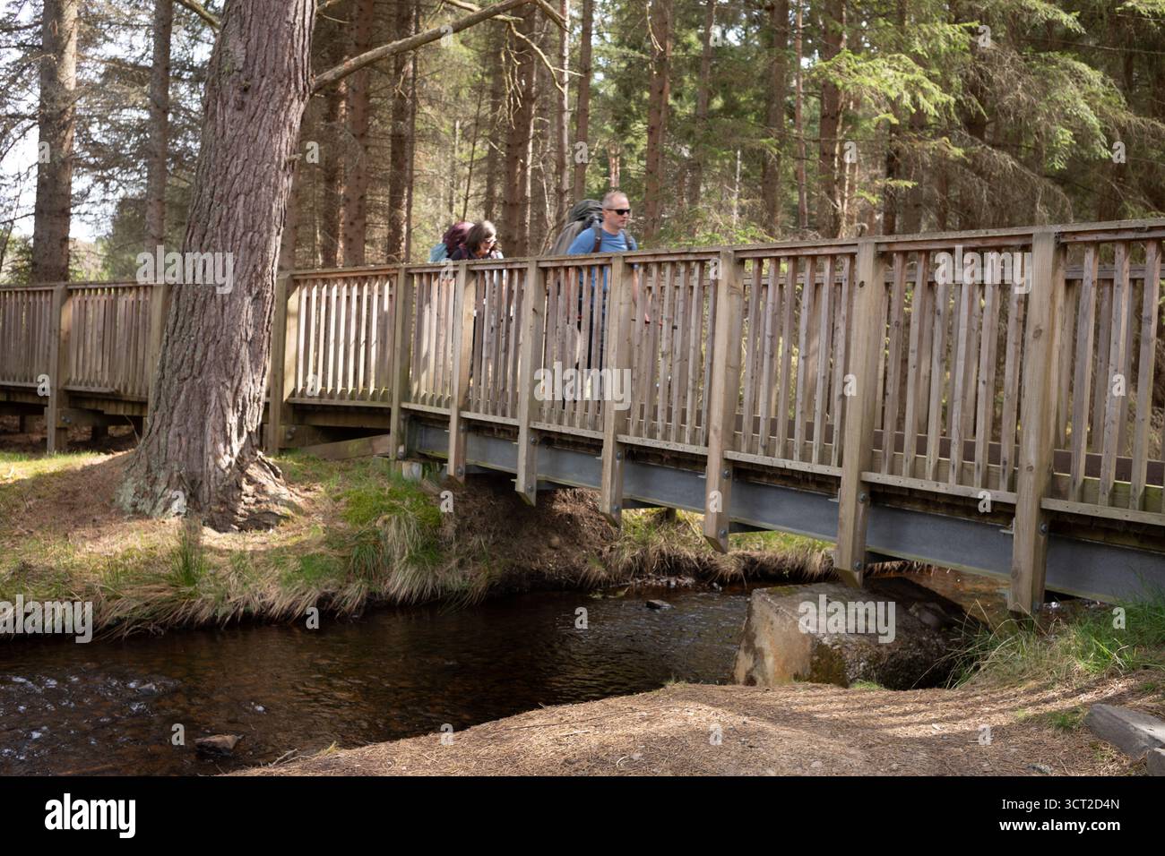 Gli escursionisti attraversano un ponte pedonale sulla Speyside Way vicino al Nethy Bridge Cairngorms National Park in Scozia Foto Stock