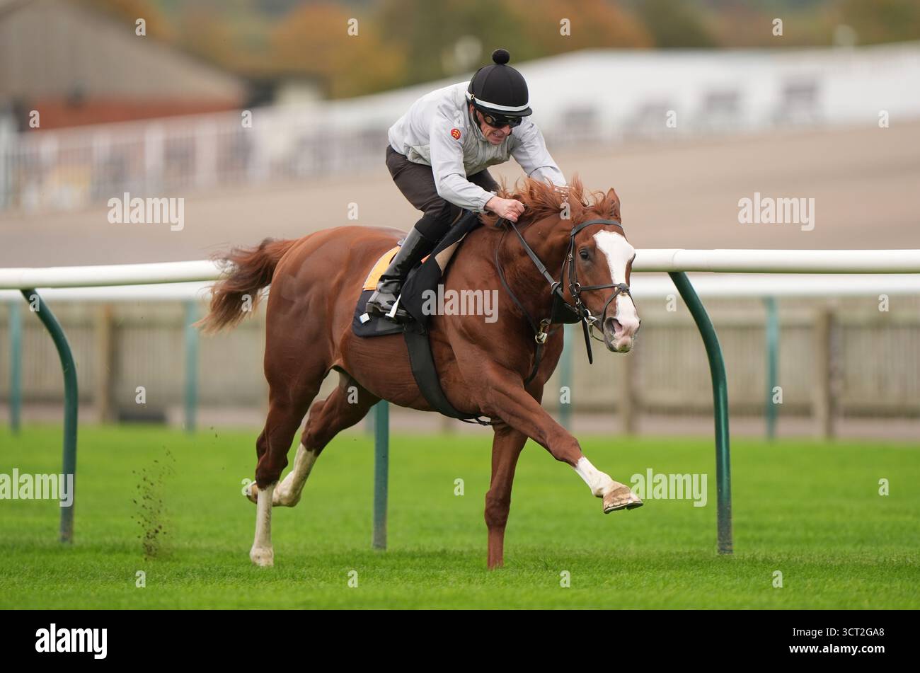 Economia al galoppo all'ippodromo di Newmarket. Data foto: Sabato 4 ottobre 2025. Foto Stock