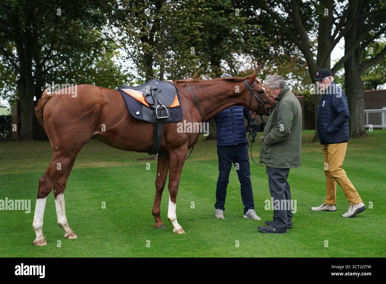L'allenatore William Haggas controlla la sua economia dei cavalli dopo che è andato al galoppo all'ippodromo di Newmarket. Data foto: Sabato 4 ottobre 2025. Foto Stock