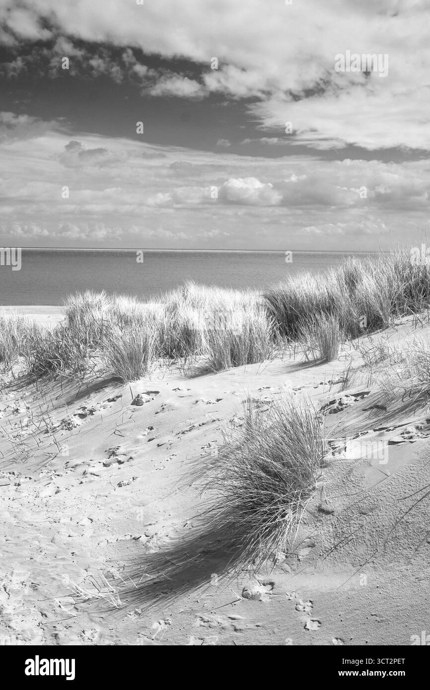 Mare bianco e nero con dune a De Cocksdorp sull'isola di Texel nella stagione primaverile Foto Stock