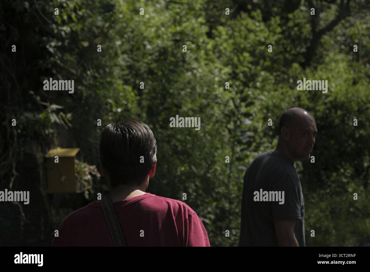 Amici che camminano in zone naturali Foto Stock