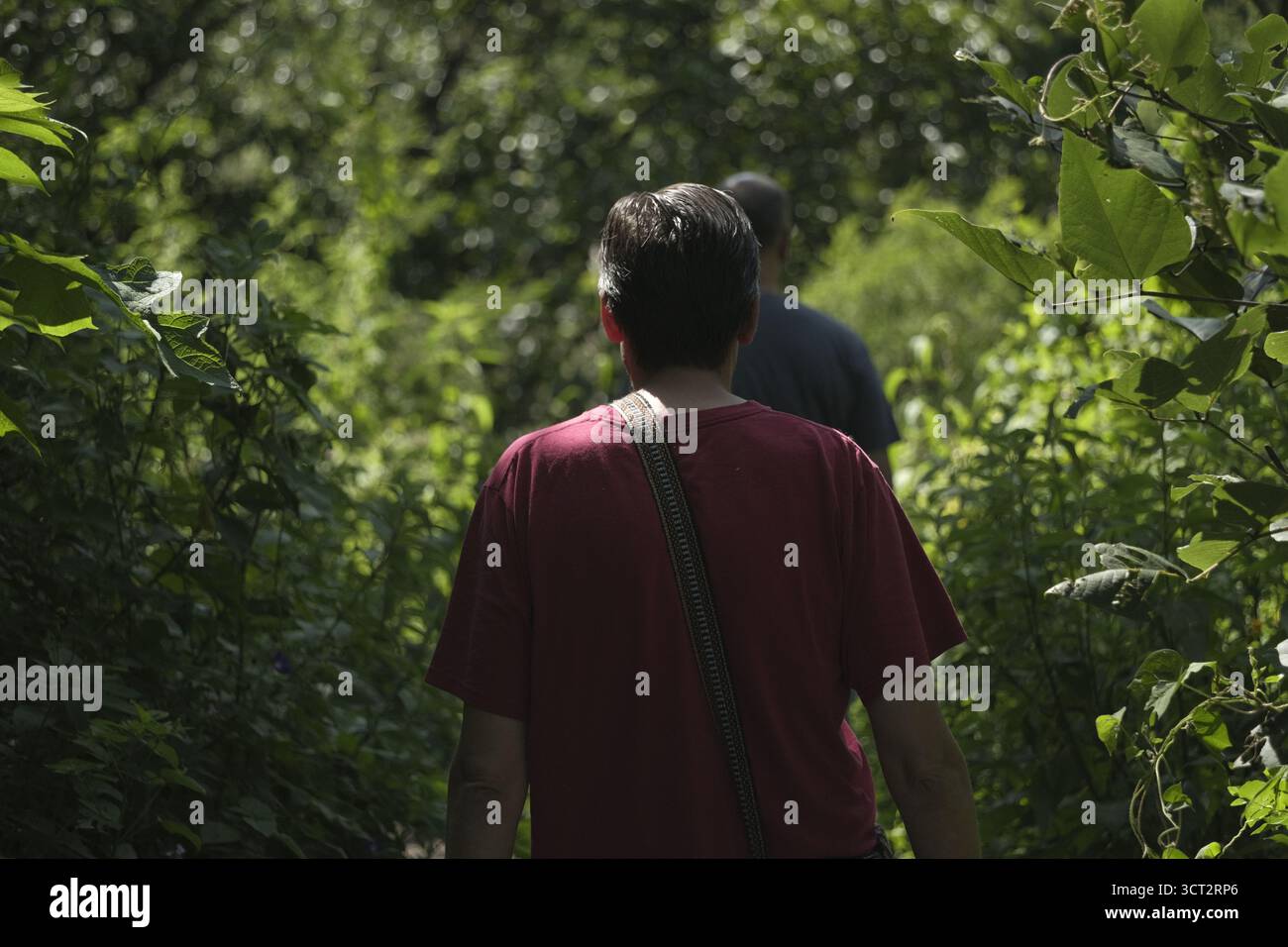 Amici che camminano in zone naturali Foto Stock