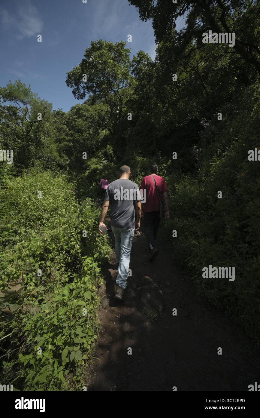 Amici che camminano in zone naturali Foto Stock