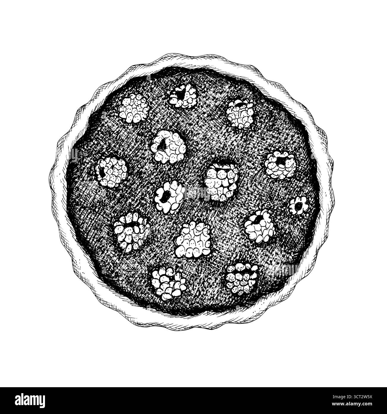 Torta di frutti di bosco di lamponi o mora. Crostata di frutti di bosco o torta isolata. Schizzo di pasta bianca e nera. Arte della linea di prodotti da forno. Cibo da dessert. Clipart del Ringraziamento. Foto Stock