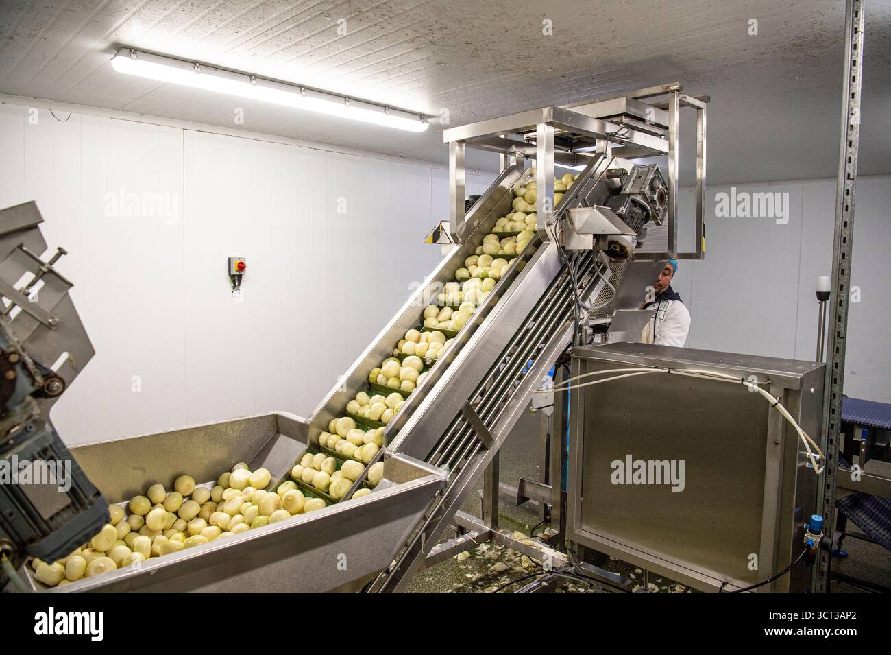 macchina per la pelatura della cipolla in una fabbrica di pasta pastello Foto Stock