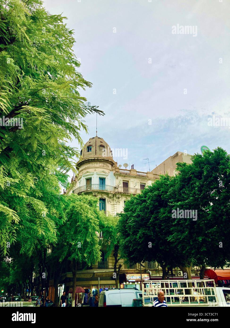 Edificio storico nel centro di Tunisi, Tunisia. Architettura classica, balconi ornati e strada alberata. Catturato il 22 settembre 2025. Foto Stock