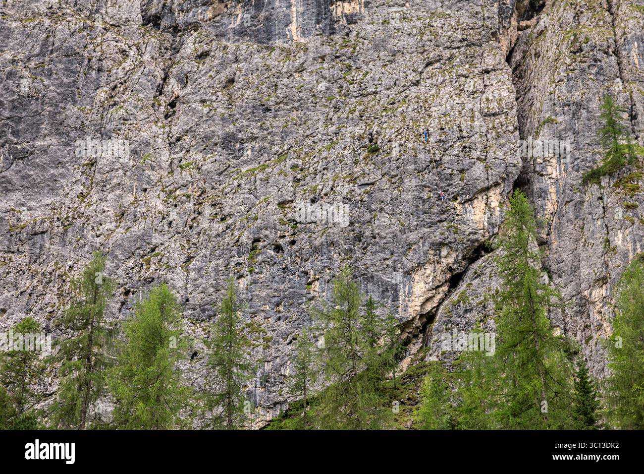 Scalatori che salgono ripide pareti rocciose Foto Stock