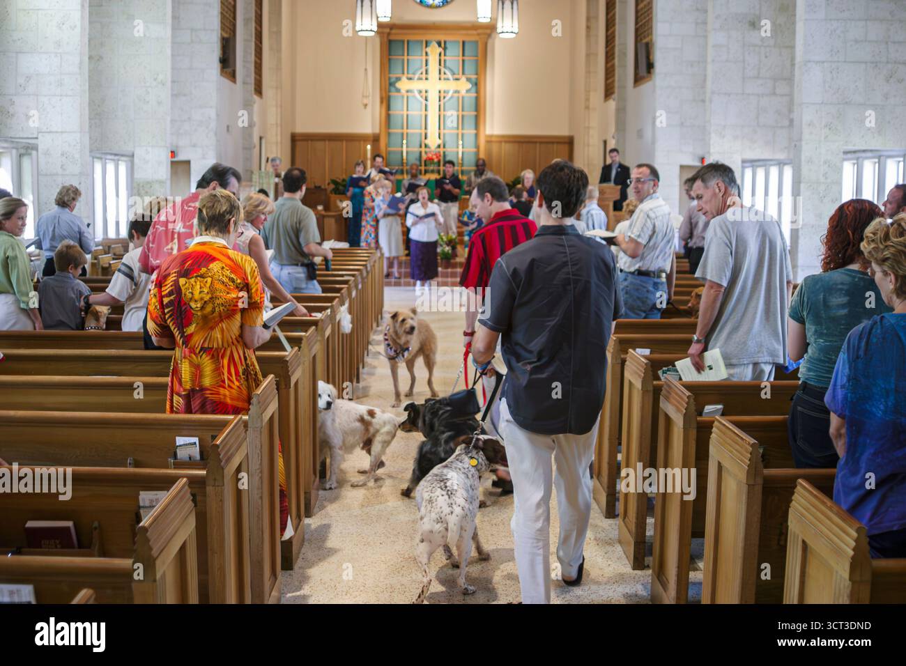 Miami Beach, Florida, St. John's on the Lake United Methodist Church, animali domestici, animali domestici, benedizione all'interno della congregazione interna, cani da cane, Foto Stock