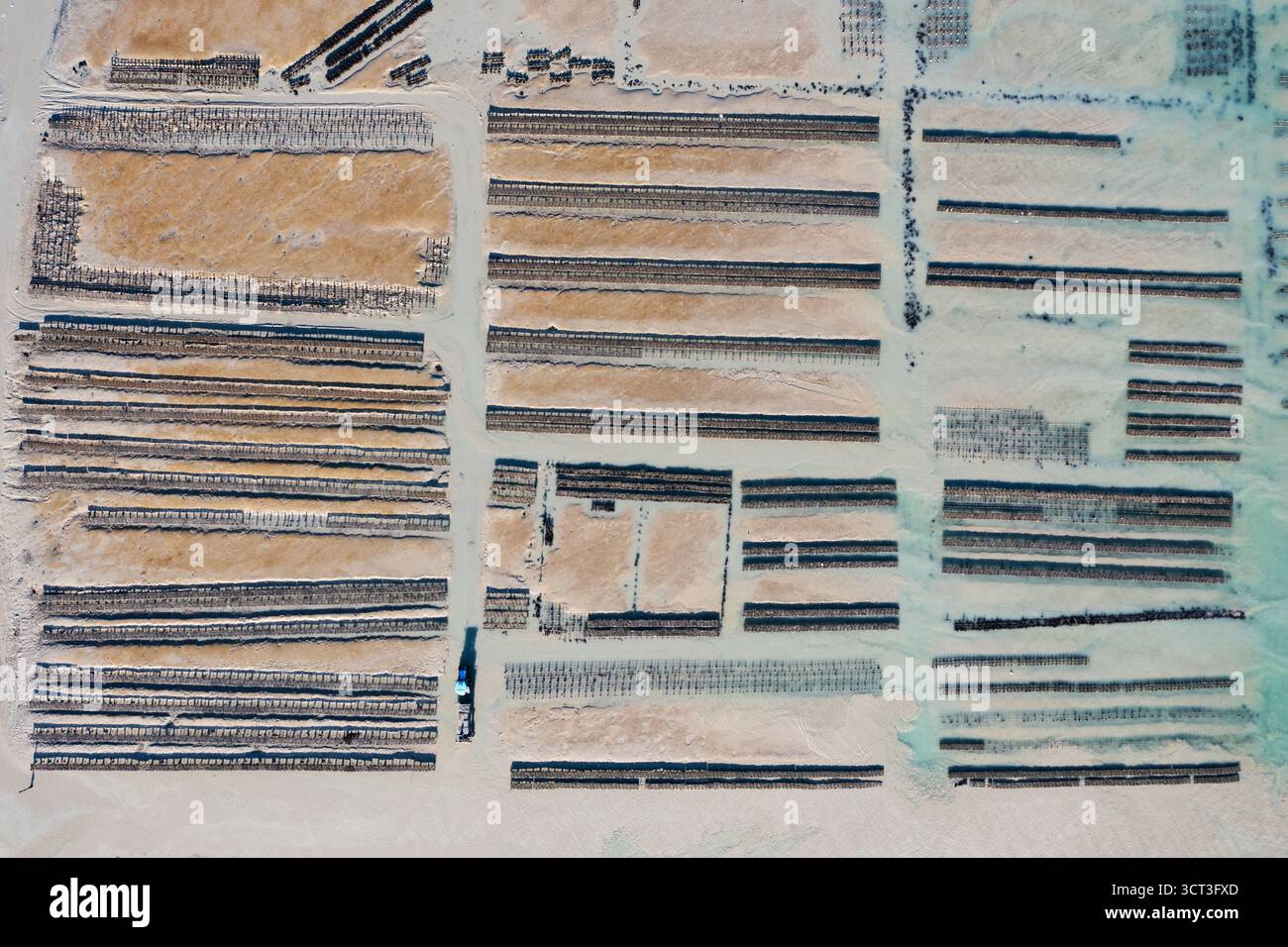 Vista aerea dei letti di ostriche di Cancale in Bretagna Foto Stock