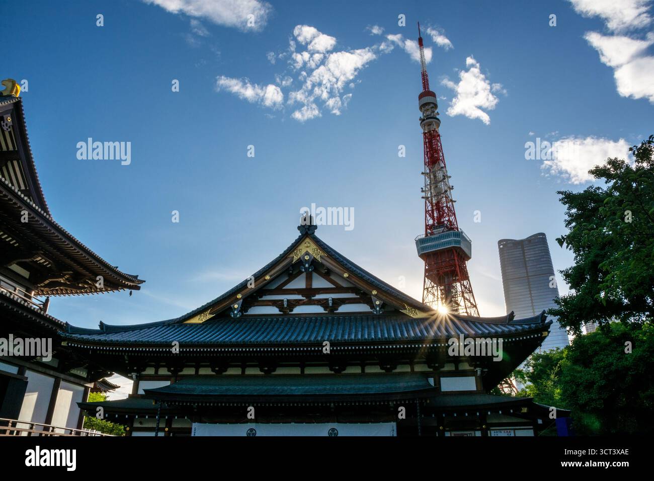 Tokyo, Giappone - 14 luglio 2025: La Torre di Tokyo e il Tempio Zojoji di fronte ai moderni grattacieli in serata Foto Stock