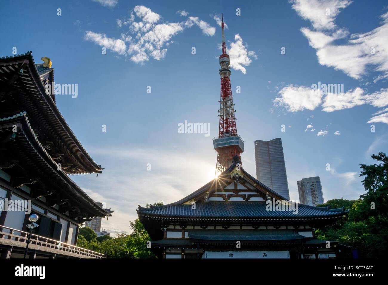 Tokyo, Giappone - 14 luglio 2025: Torre di Tokyo e Tempio Zojoji di fronte ai moderni grattacieli Foto Stock