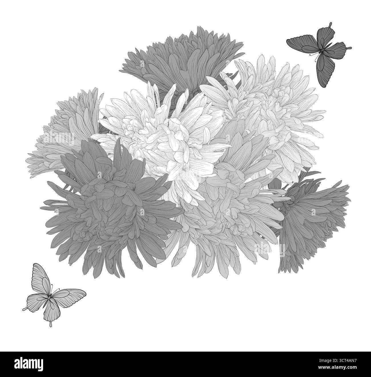 Splendido sfondo bianco e nero monocromatico con fiori e farfalle Illustrazione Vettoriale
