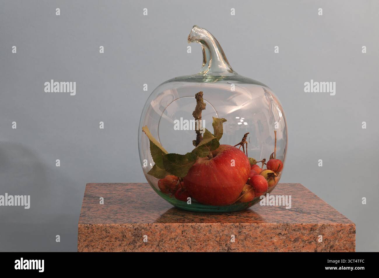 Natura morta: Mele in una mela di vetro. Foto con mele, su tavola in gres e sfondo chiaro, con la massima profondità di campo. Riflessi sul vetro. Foto Stock