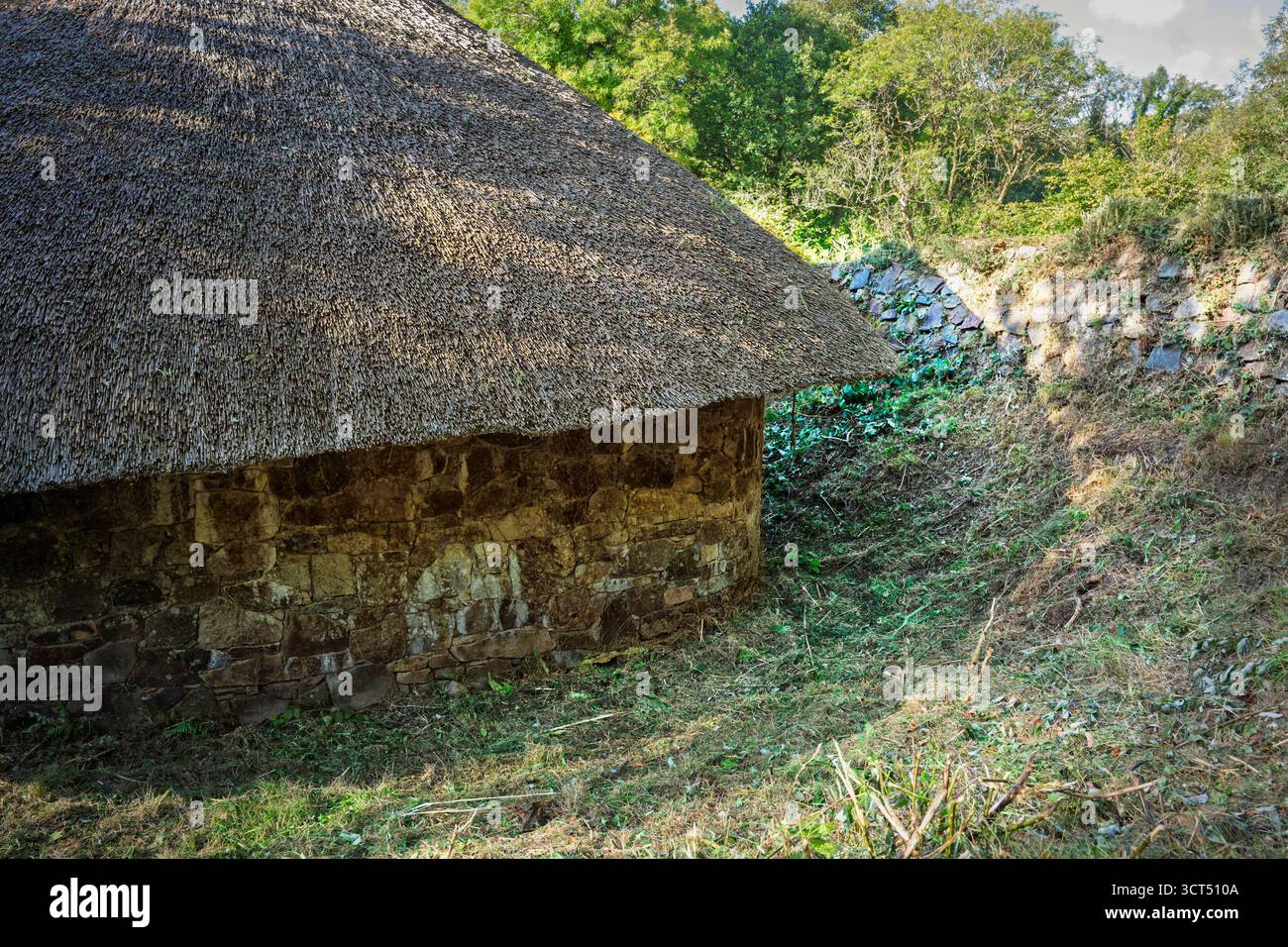 Primo piano del primo angolo della roundhouse irlandese, tetto in paglia, muri in pietra, nessun popolo, Irish National Heritage Park, Wexford. Foto Stock