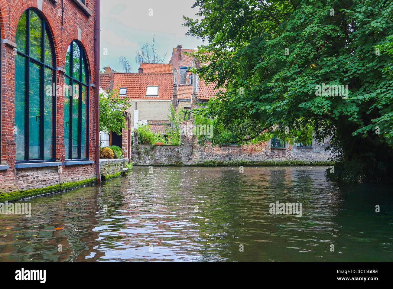 Un potente cavallo da tiro tira una carrozza turistica con un autista attraverso una strada acciottolata davanti agli edifici storici di Bruges. Foto Stock