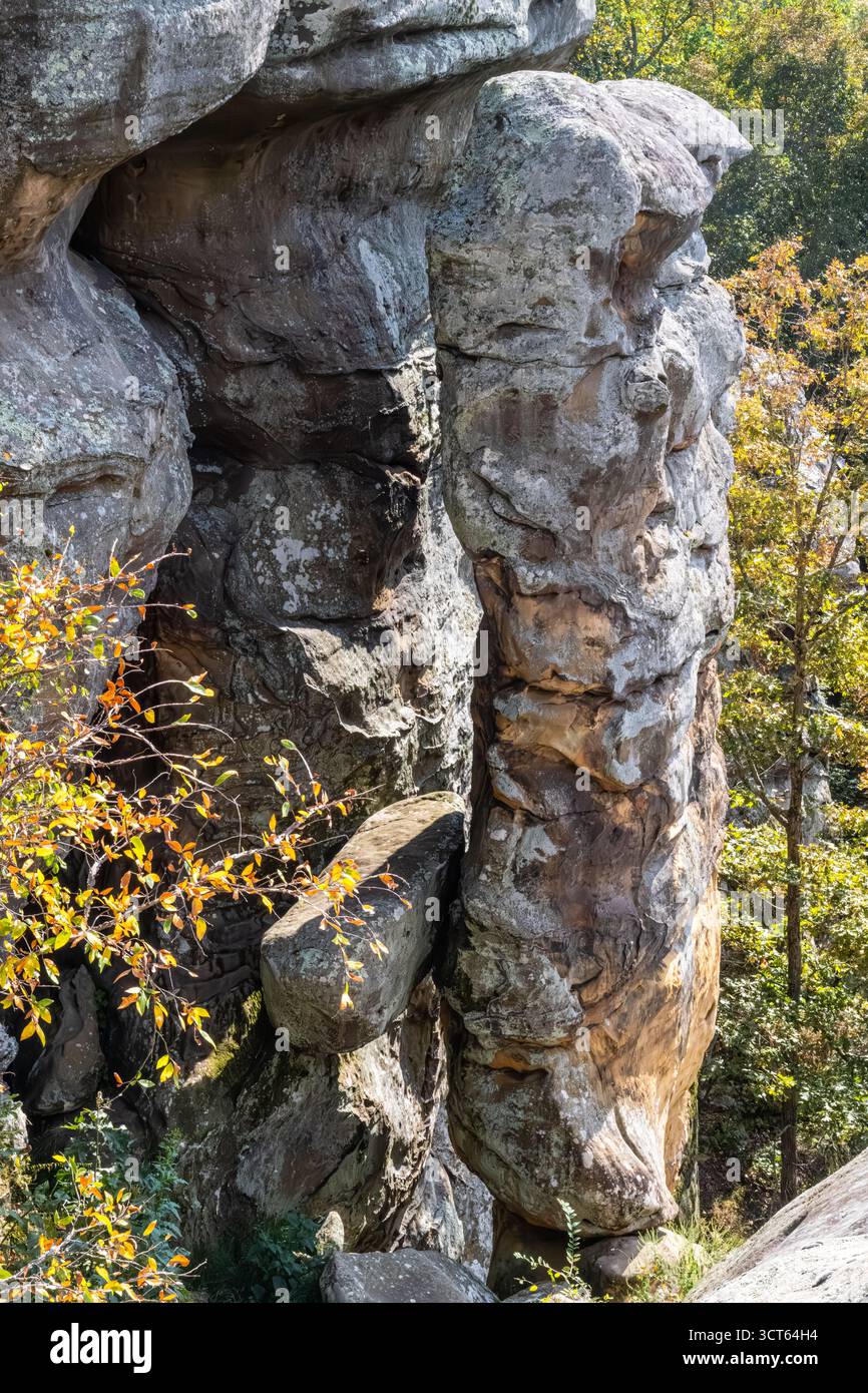 Formazione rocciosa devil's Smokestack al Garden of the Gods nella Shawnee National Forest nell'Illinois meridionale. (USA) Foto Stock