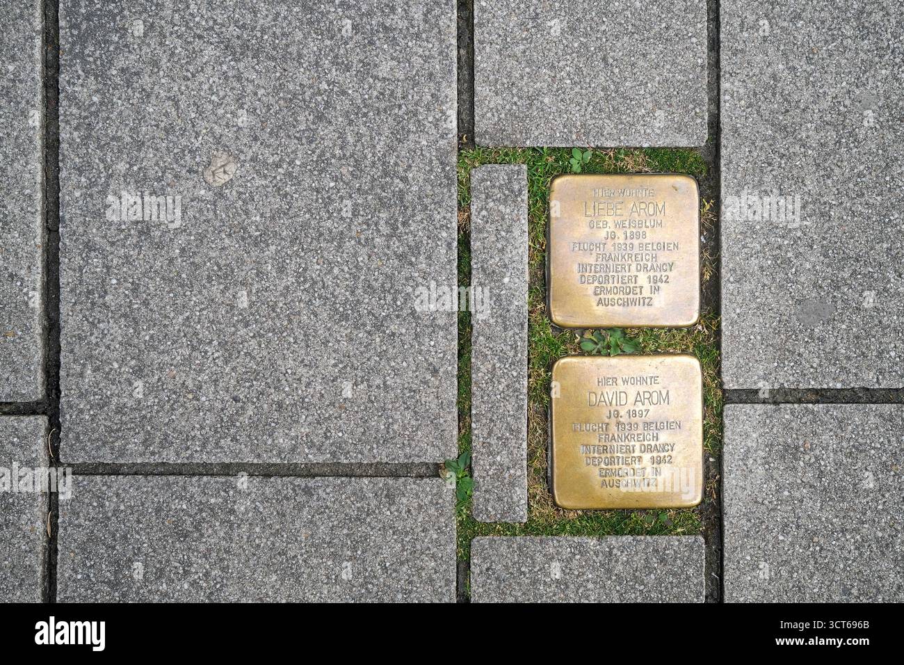 Cubi di Stolperstein con un piatto di ottone inciso con il nome delle vittime della persecuzione nazista, in una strada di Dusseldorf in Germania. Foto Stock
