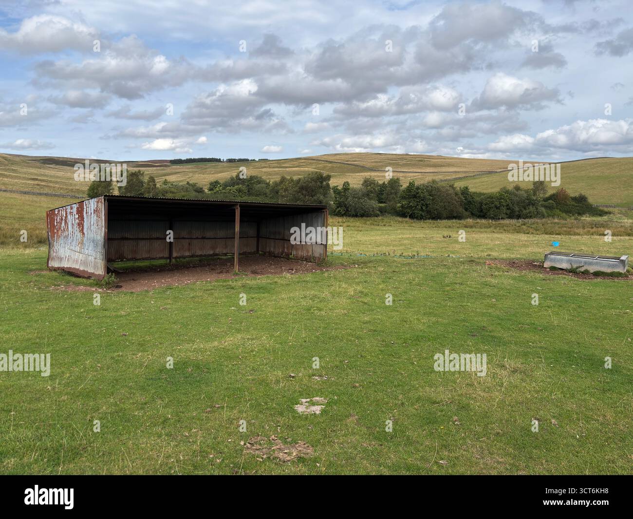 Antica struttura arrugginita del fienile delle mucche su pendii collinari con erba e rocce nel paesaggio scozzese. Foto Stock