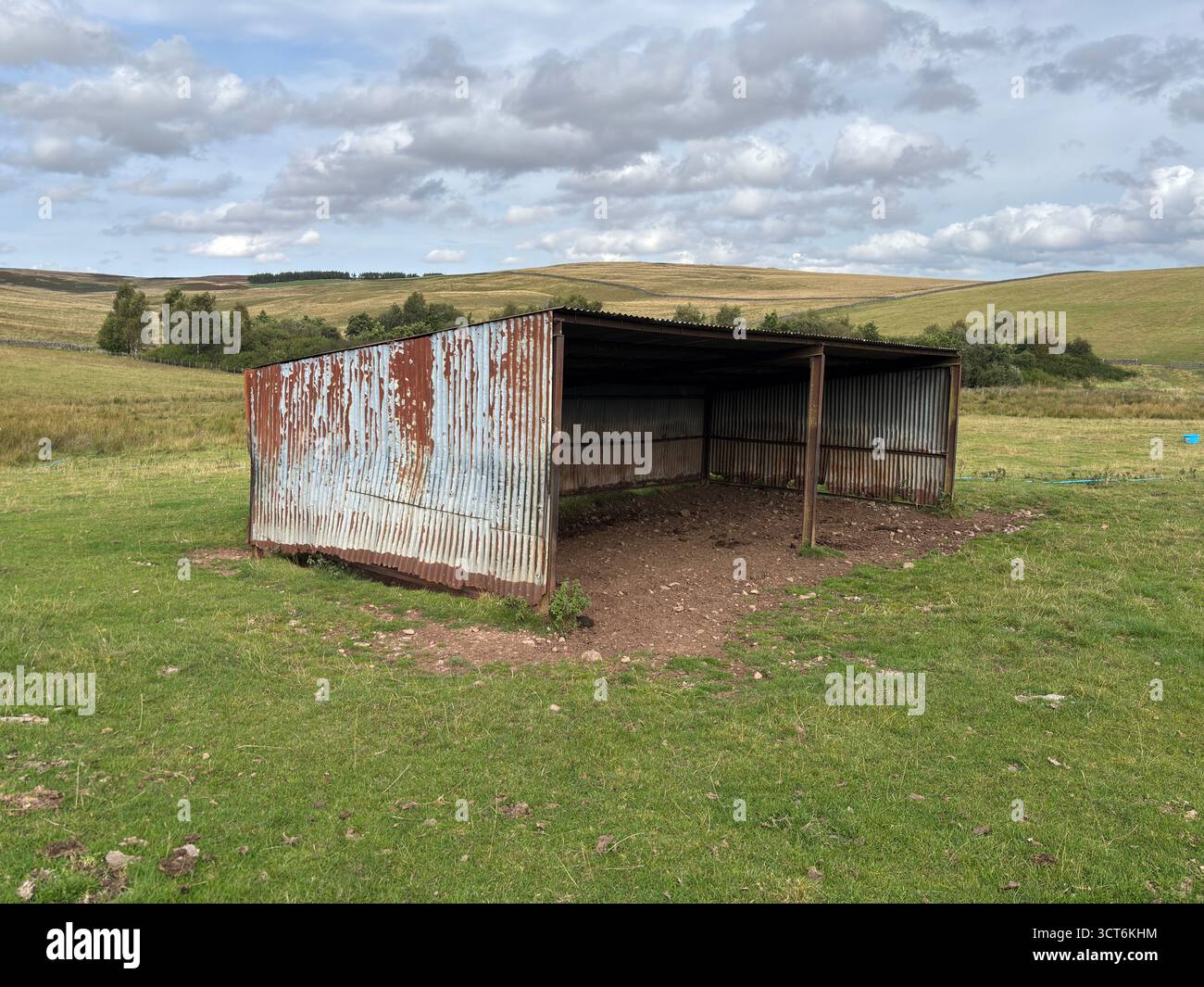 Antica struttura arrugginita del fienile delle mucche su pendii collinari con erba e rocce nel paesaggio scozzese. Foto Stock