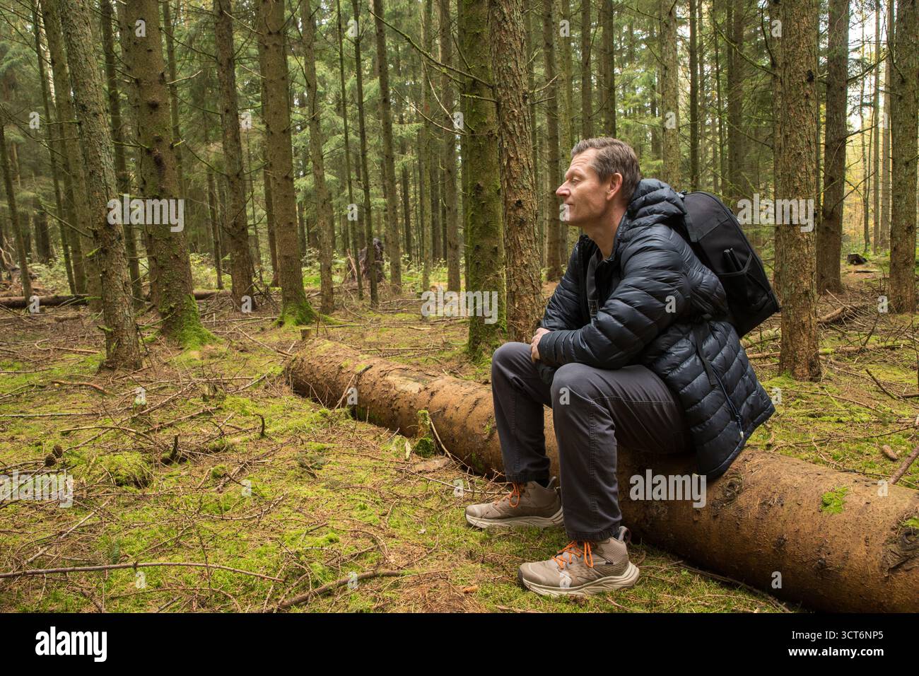 uomo nella foresta seduto su alberi caduti riposando e godendo della natura e della calma, uomo riposa nella meditazione della foresta, calma e benessere Foto Stock