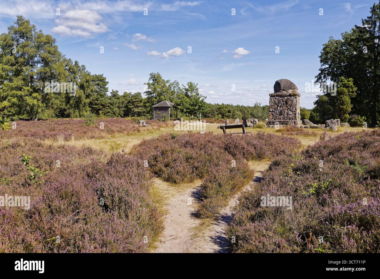 Landschaft am Hermann Loens Denkmal am Wietzer Berg in der Lueneburger Heide waehrend der Heidebluete. Suedheide, Niedersachsen, Deutschland Foto Stock