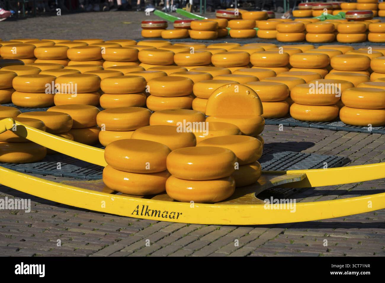 Pila di forme di formaggio giallo in una piazza del mercato di Alkmaar con il sole, formaggio, mercato del formaggio, Alkmaar, Alkmar, Noord-Holland, Noord-Holland, ne Foto Stock