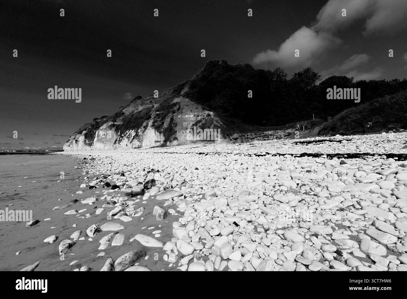 Vista delle Sewerby Cliffs e Foreshore, Sewerby Village, East Riding of Yorkshire, Inghilterra, Regno Unito Foto Stock